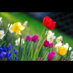 Meet your Posher, Melissa